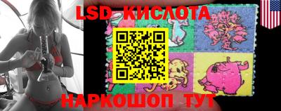 PSILOCYBIN Кинель