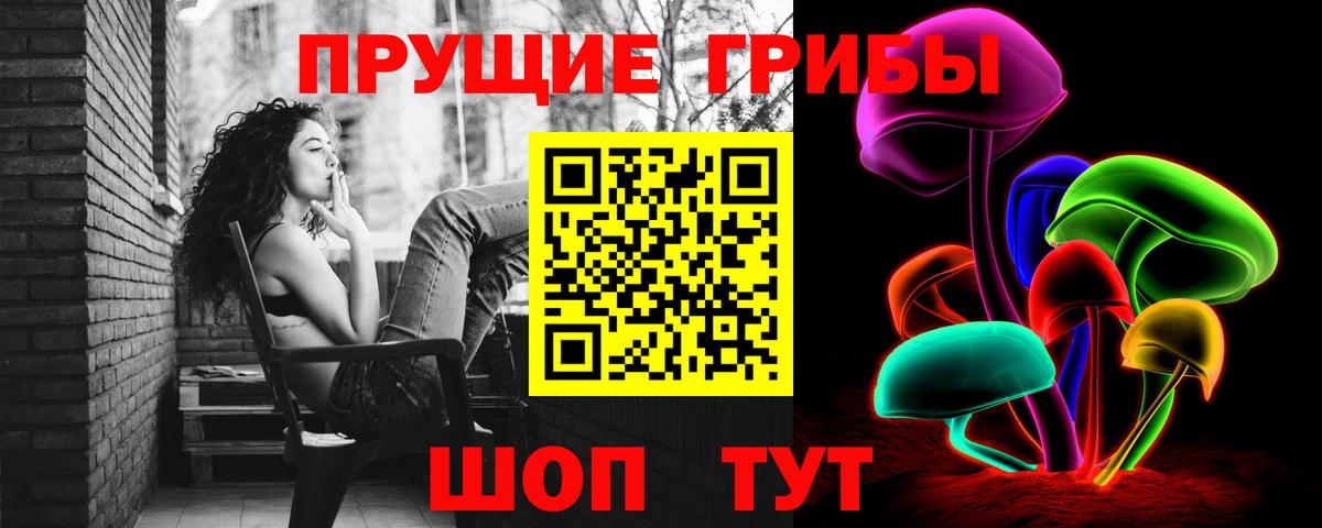 Корсаков  как найти закладки  Вход с VPN  Галлюциногенные грибы Psilocybe 